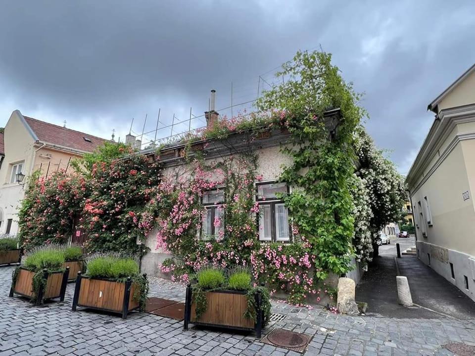 Downtown Romantic Székesfehérvár Εξωτερικό φωτογραφία